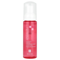 Andalou Naturals, 1000 Roses, Gentle Cleansing Foam, Sensitive, 5.5 fl oz (163 ml)